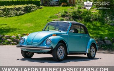 Volkswagen-Beetle-Classic-Cabriolet-1979-14