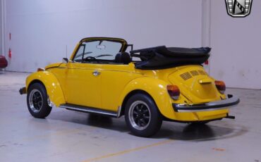 Volkswagen-Beetle-Classic-Cabriolet-1979-3