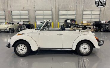 Volkswagen-Beetle-Classic-Cabriolet-1979-3