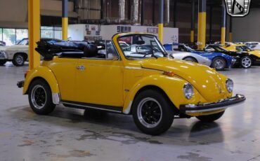 Volkswagen-Beetle-Classic-Cabriolet-1979-5