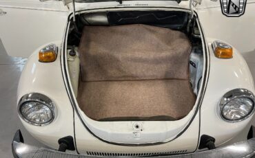 Volkswagen-Beetle-Classic-Cabriolet-1979-8