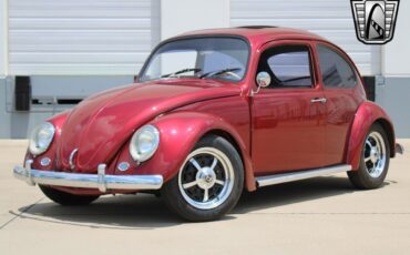 Volkswagen-Beetle-Classic-Coupe-1966-2