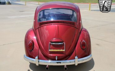 Volkswagen-Beetle-Classic-Coupe-1966-4