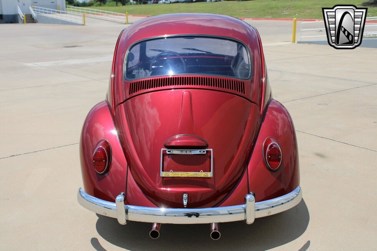 Volkswagen-Beetle-Classic-Coupe-1966-4