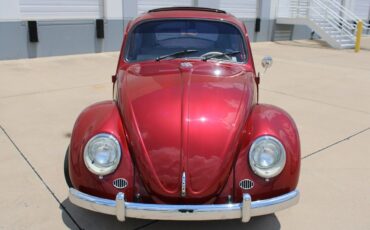 Volkswagen-Beetle-Classic-Coupe-1966-8