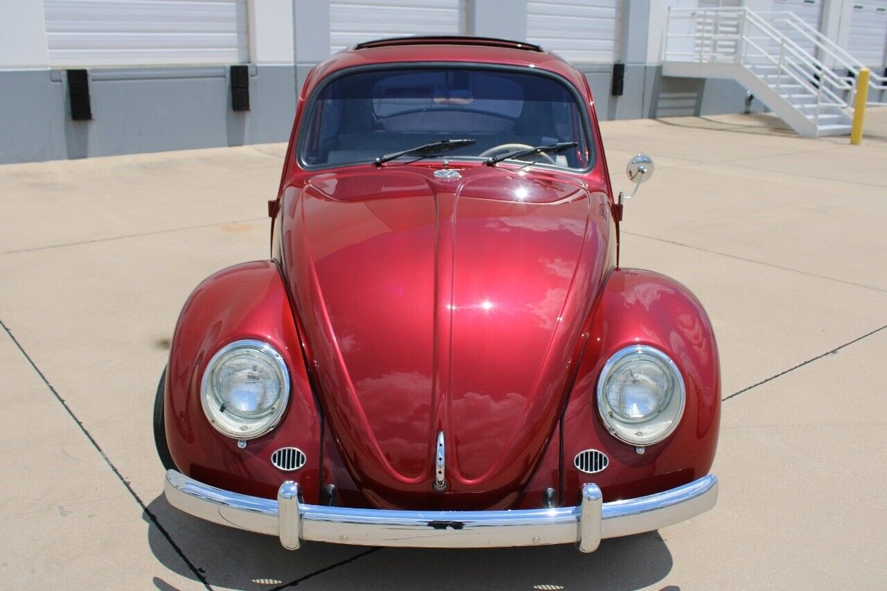 Volkswagen-Beetle-Classic-Coupe-1966-8