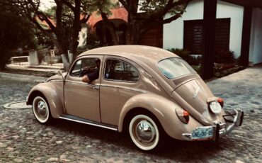 Volkswagen-Beetle-Classic-Coupe-1969-4