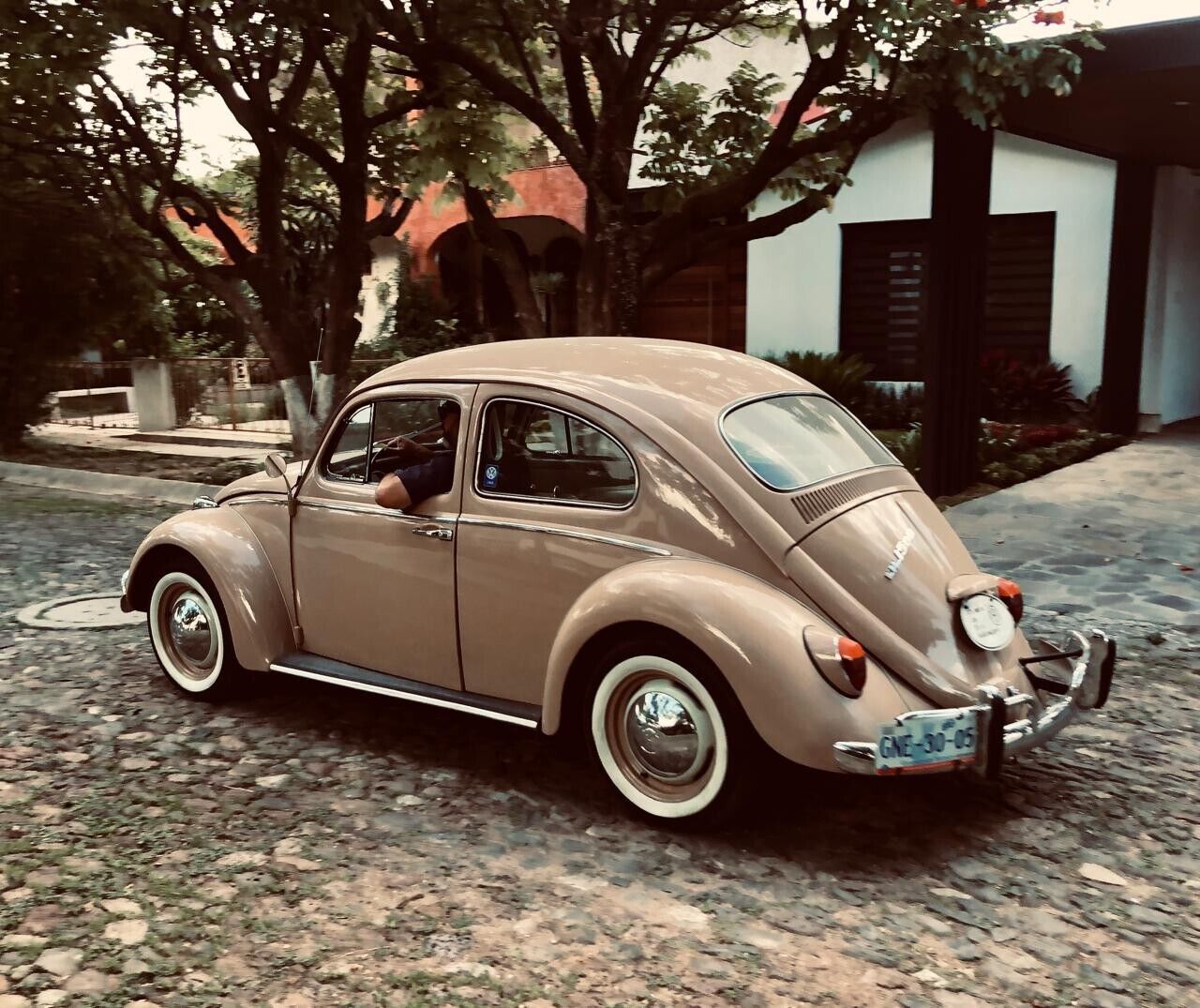 Volkswagen-Beetle-Classic-Coupe-1969-4