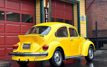 Volkswagen-Beetle-New-1974-2