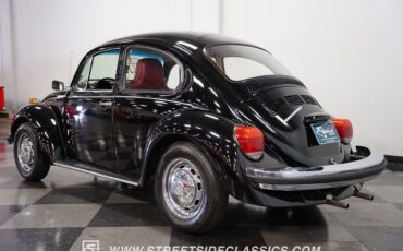 Volkswagen-Beetle-New-1974-6