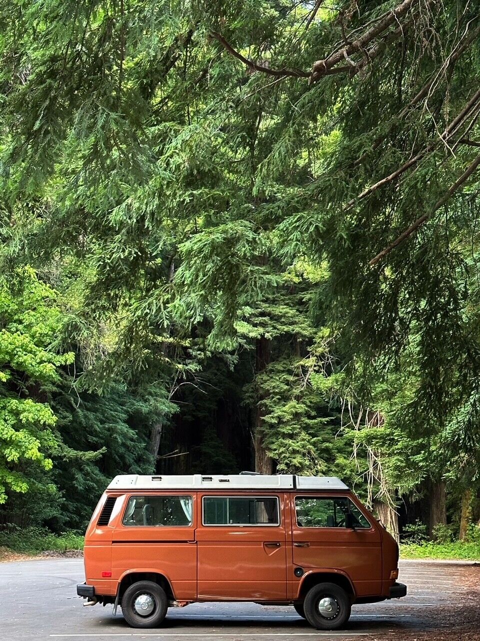 Volkswagen-BusVanagon-1984-23