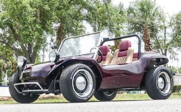 Volkswagen-Dune-Buggy-1973-14