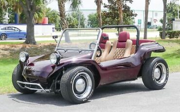 Volkswagen-Dune-Buggy-1973-15