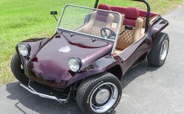 Volkswagen-Dune-Buggy-1973-6