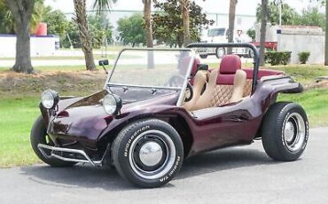 Volkswagen-Dune-Buggy-1973-8