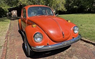 Volkswagen Super Beetle  year1}