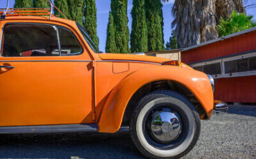 Volkswagen-Super-Beetle-1972-10