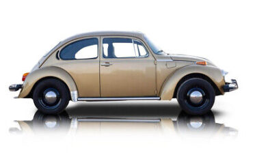 Volkswagen-Super-Beetle-1974-1