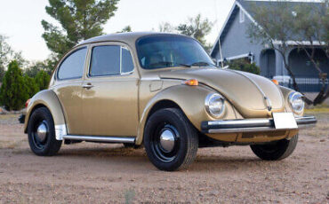 Volkswagen-Super-Beetle-1974-11