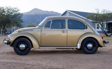 Volkswagen-Super-Beetle-1974-2