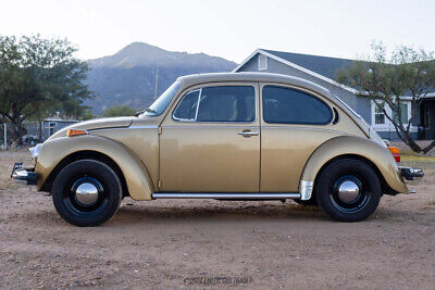 Volkswagen-Super-Beetle-1974-2