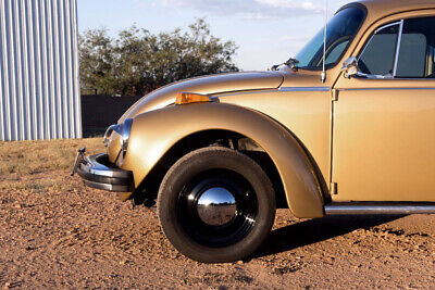 Volkswagen-Super-Beetle-1974-3