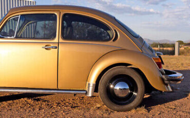 Volkswagen-Super-Beetle-1974-4