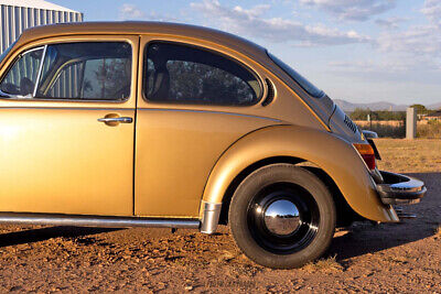 Volkswagen-Super-Beetle-1974-4