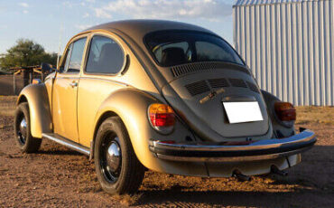 Volkswagen-Super-Beetle-1974-5