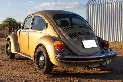 Volkswagen-Super-Beetle-1974-5