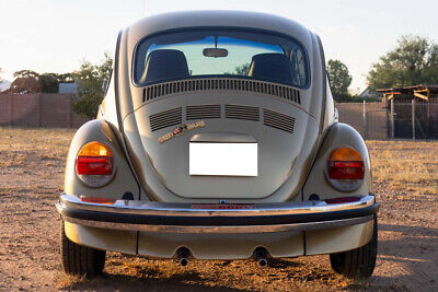 Volkswagen-Super-Beetle-1974-6