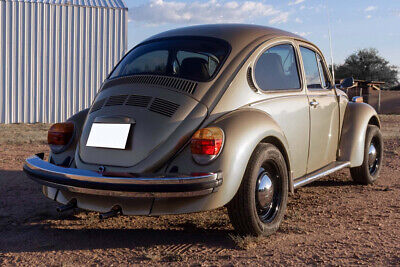 Volkswagen-Super-Beetle-1974-7