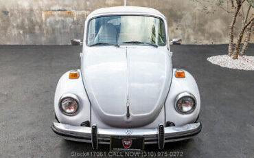 Volkswagen-Super-Beetle-1974-8