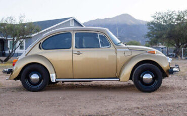 Volkswagen-Super-Beetle-1974-8