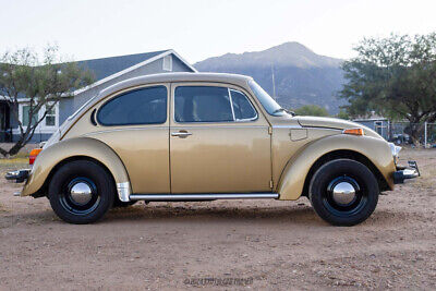 Volkswagen-Super-Beetle-1974-8