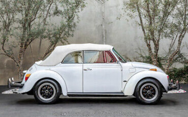 Volkswagen-Super-Beetle-1974-9