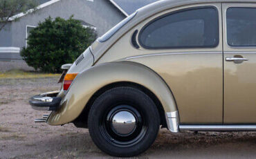 Volkswagen-Super-Beetle-1974-9