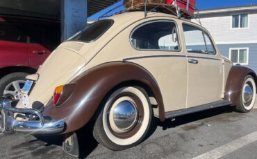 Volkswagen-Vw-beetle-1966-10