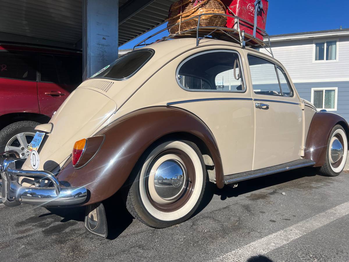 Volkswagen-Vw-beetle-1966-10