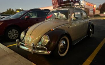 Volkswagen-Vw-beetle-1966-6