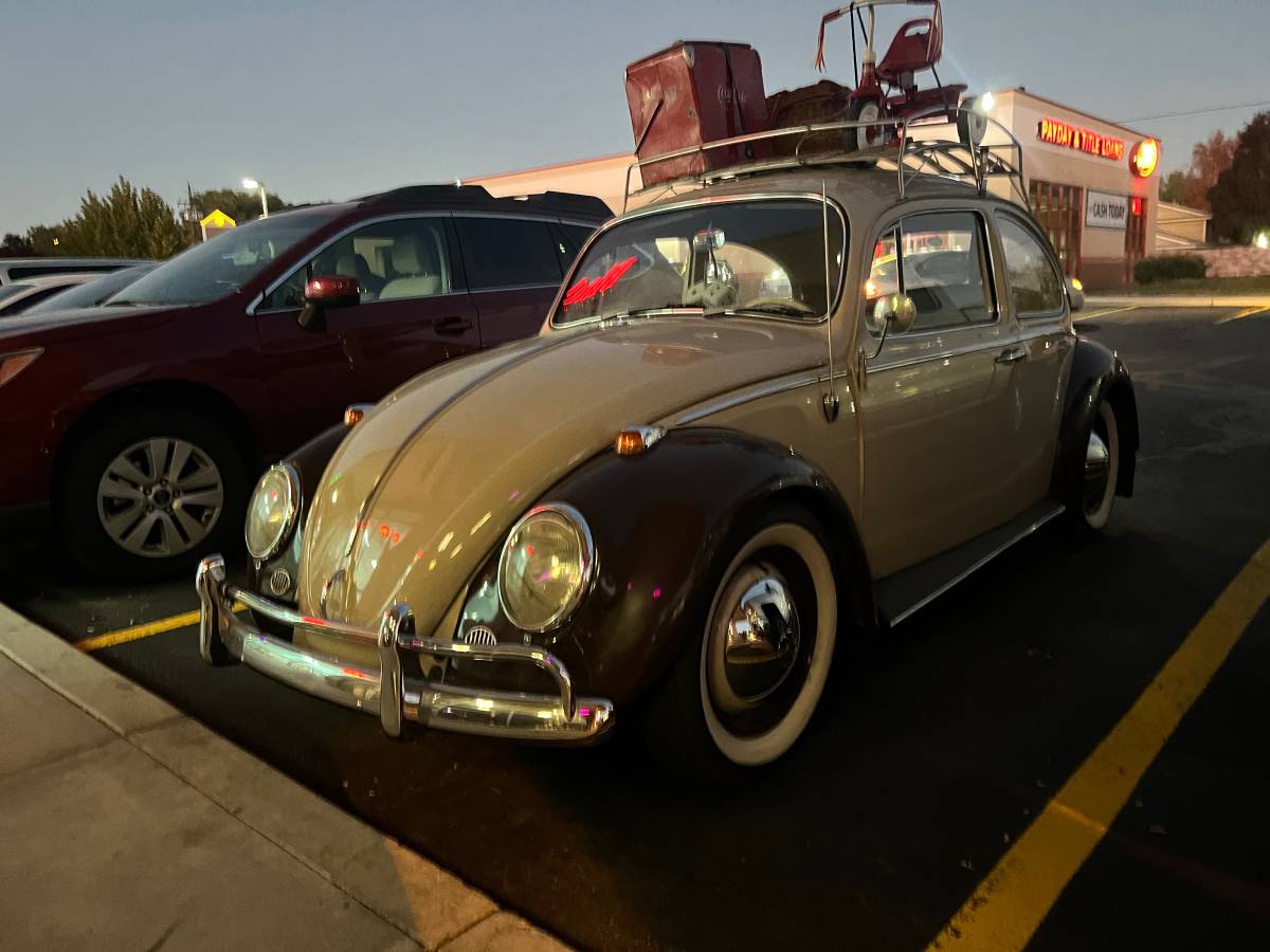 Volkswagen-Vw-beetle-1966-6