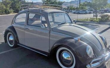 Volkswagen-Vw-beetle-1966-9