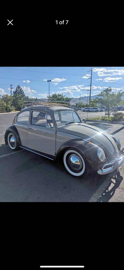 Volkswagen-Vw-beetle-1966-9