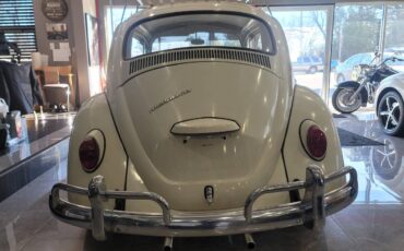 Volkswagen-Vw-beetle-1967-14