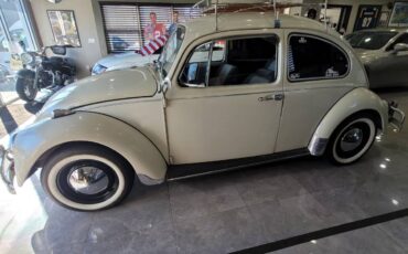 Volkswagen-Vw-beetle-1967-4