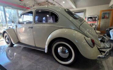 Volkswagen-Vw-beetle-1967-5