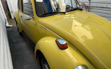 Volkswagen-Vw-beetle-1973-1