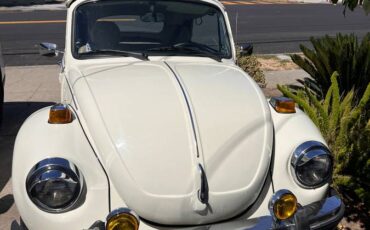 Volkswagen-Vw-beetle-1979-2