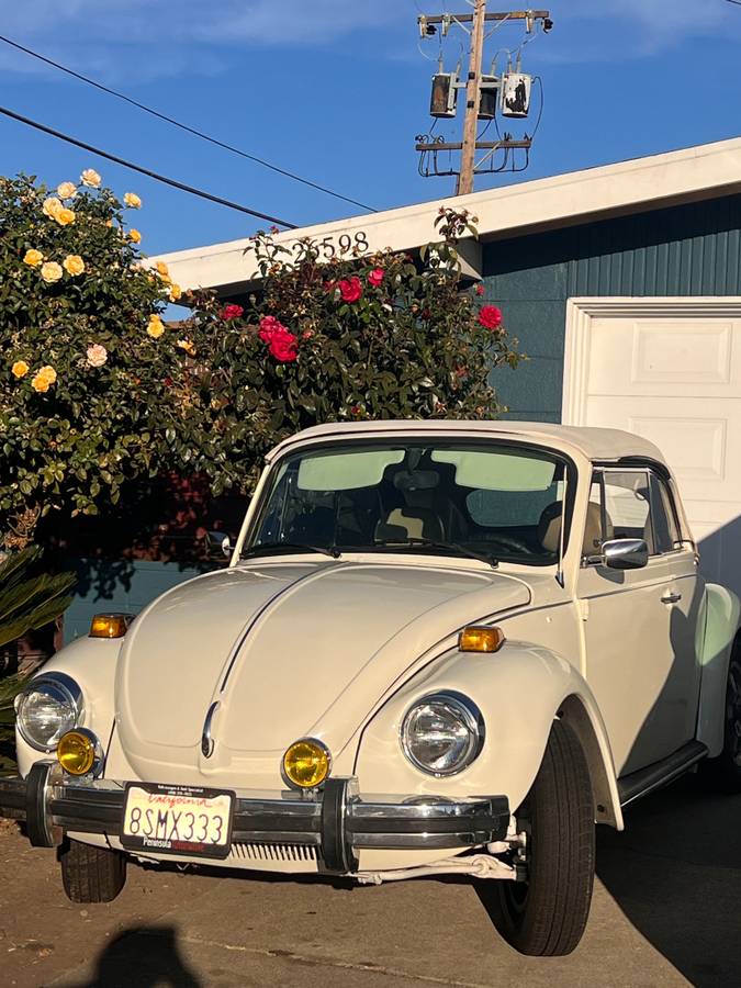 Volkswagen-Vw-beetle-1979-4