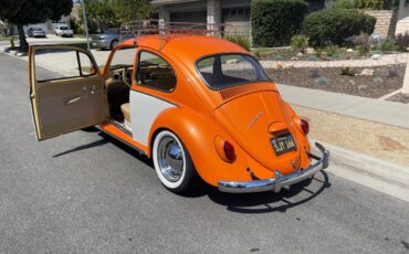 Volkswagen-Vw-bug-1966-12